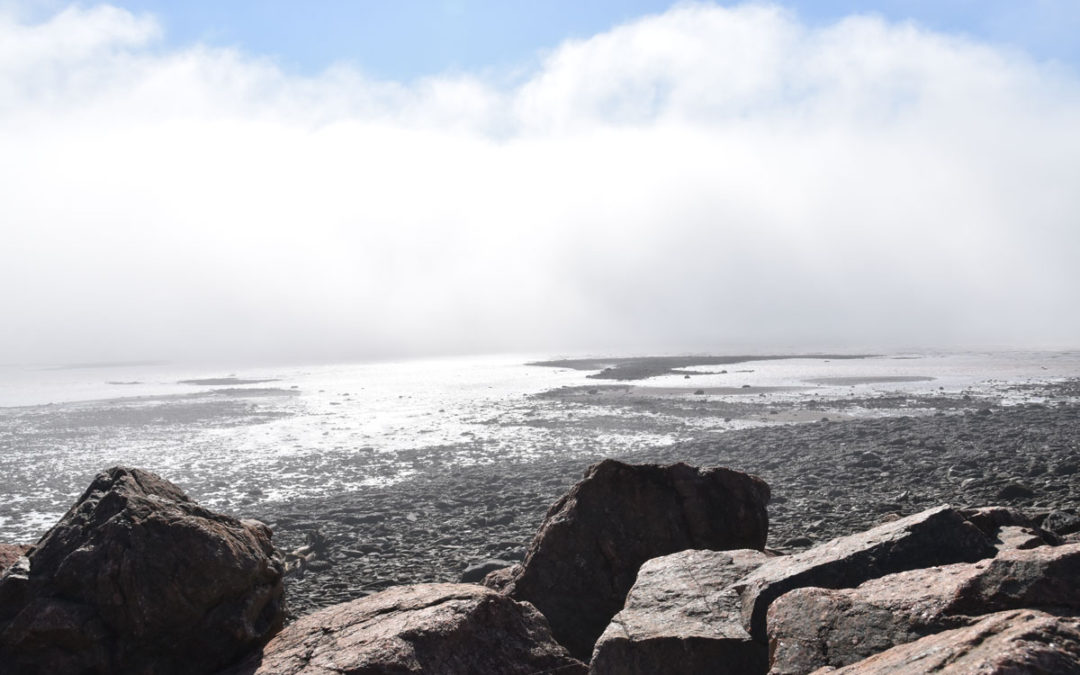 Beneath the surface: Fundy National Park Residency Participants