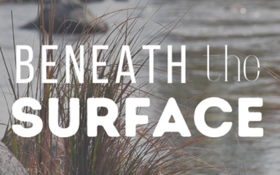 Beneath the surface residency – artists announced!